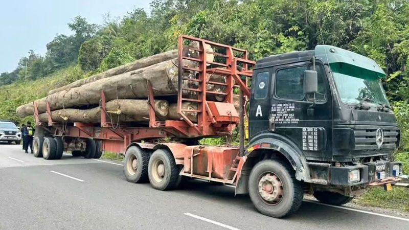 Dua lori balak ditahan dalam Ops Gempur JPJ Kapit