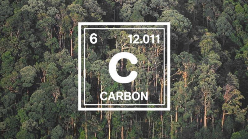 Karbon: Sarawak di ambang ledakan ekonomi hijau