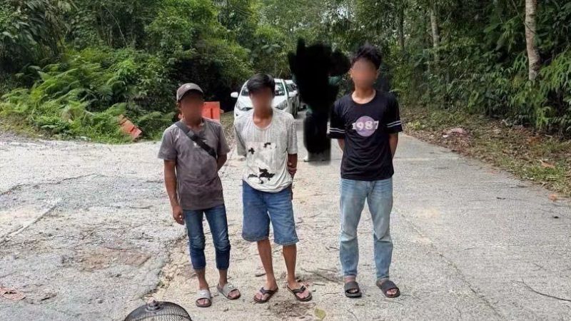 Tiga warga Indonesia ditahan ceroboh Rizab Semulajadi Matang