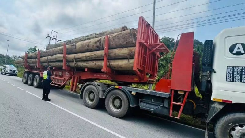 JPJ Kapit tahan dua lori balak, tiga kenderaan warga asing