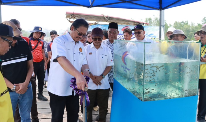 Pelepasan benih siakap sokong sumber perikanan Muara Tebas