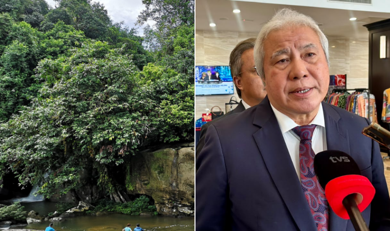 Sarawak, Sabah deserves to be incentivized for forest cover