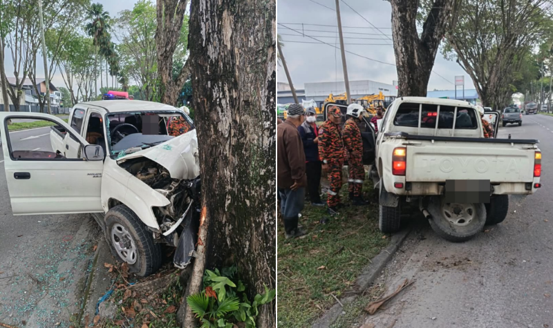 Two men wounded, grabbing a tree