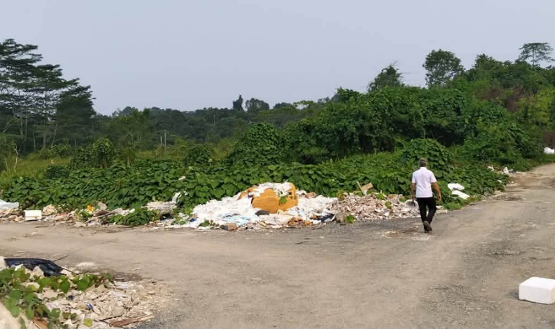The landfill has attracted the attention of MPKS