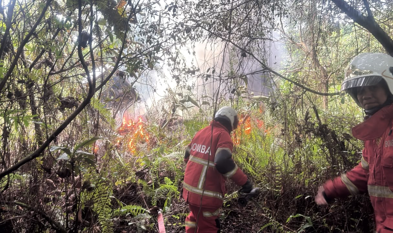 Lori terbiar terbakar di kawasan hutan Demak Laut