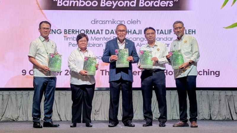 Research on bamboo needs to be translated into commercial products