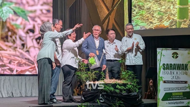 The bamboo industry has the potential to fuel Sarawak's new economy